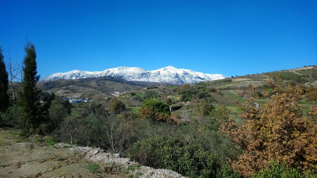 Agios Thomas  Villa Axenti المظهر الخارجي الصورة