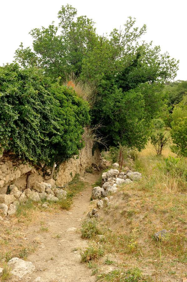 Agios Thomas  Villa Axenti المظهر الخارجي الصورة